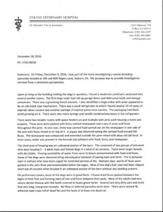 Thumbnail - Vet Summary