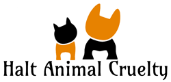 Halt Animal Cruelty